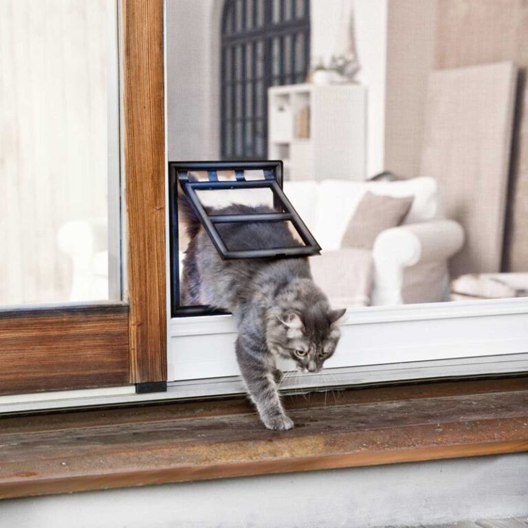 cat-flap-installation